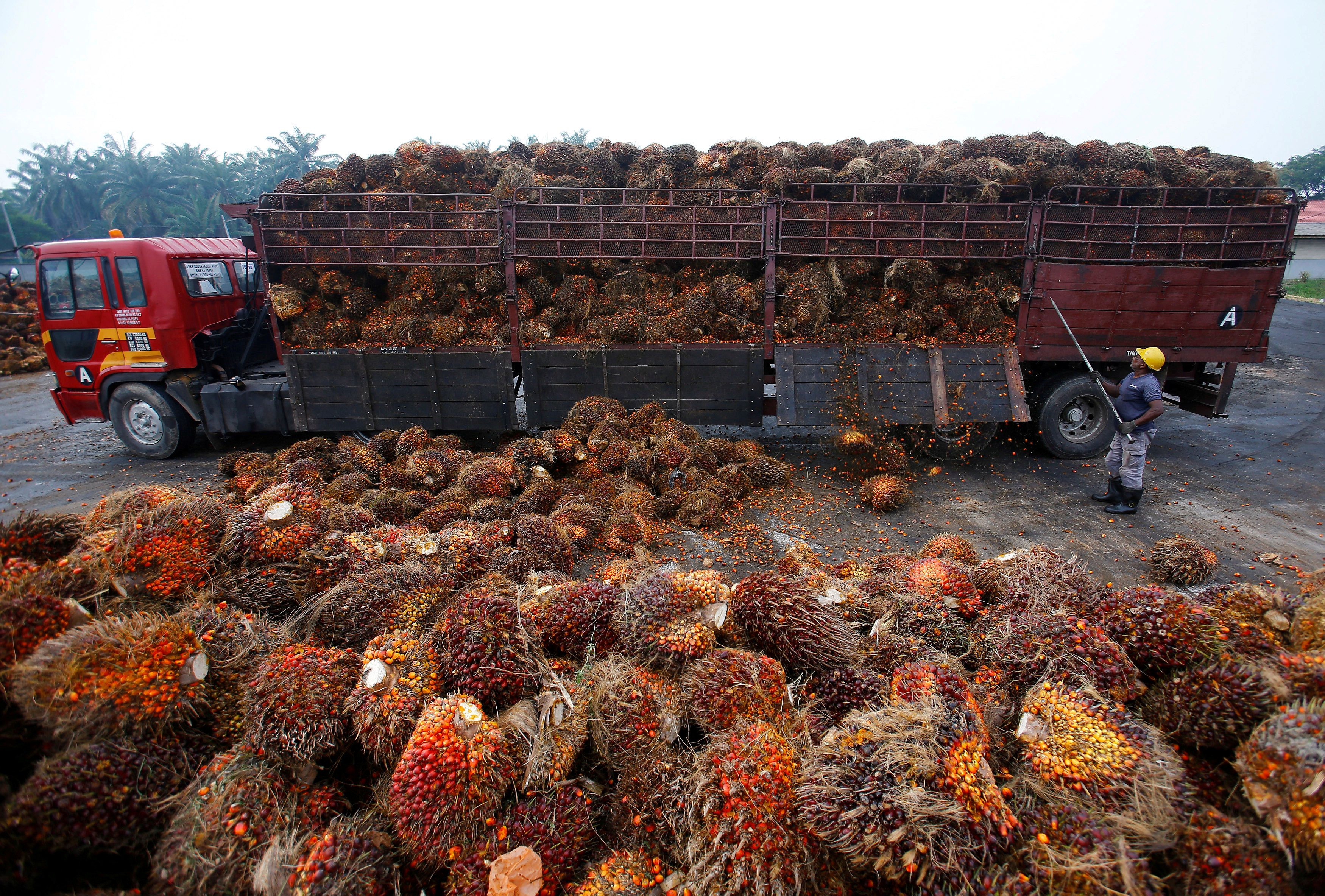 request-to-lift-ban-on-palm-oil-imports-remains-unanswered